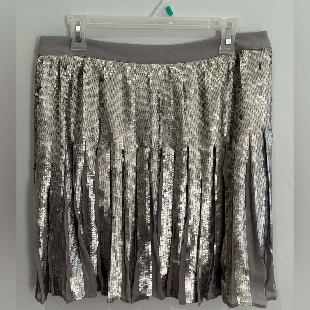 Banana Republic Silver Sequin Mini Skirt